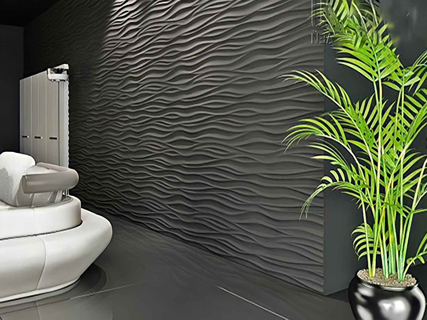 IMG_2972 IMG_2972