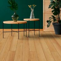 SPC_Floor_Aberhof_Noventa