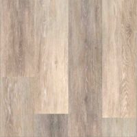 SPC_Floor_Bonkeel_Discostar