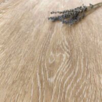 SPC_Floor_Bonkeel_Discostar