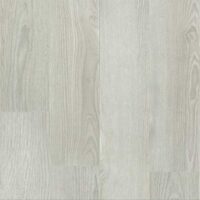 SPC_Floor_Bonkeel_Discostar