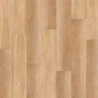 SPC_Floor_Bonkeel_Rockstar